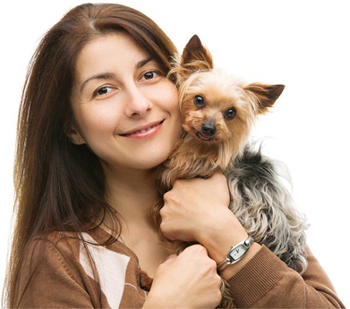 Heeler Mix Puppies For Sale Heeler Mix Puppies For Sale